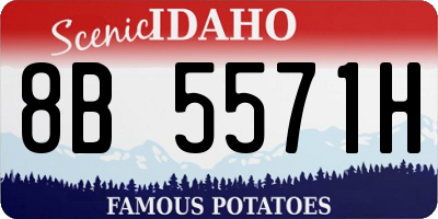 ID license plate 8B5571H