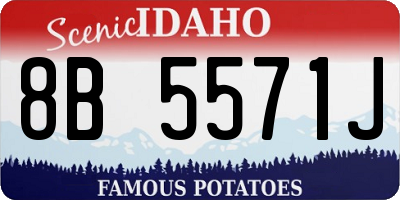 ID license plate 8B5571J
