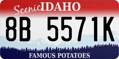 ID license plate 8B5571K