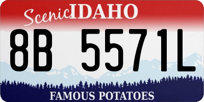 ID license plate 8B5571L