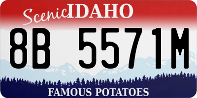 ID license plate 8B5571M