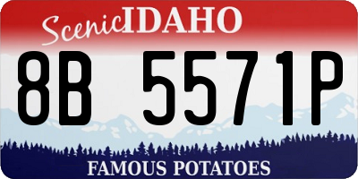 ID license plate 8B5571P