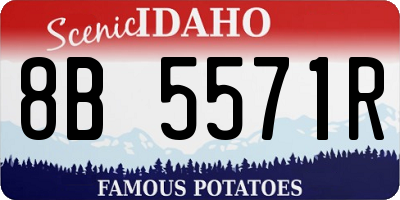 ID license plate 8B5571R
