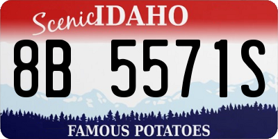 ID license plate 8B5571S