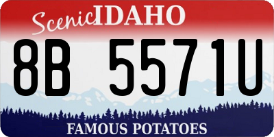 ID license plate 8B5571U