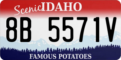 ID license plate 8B5571V