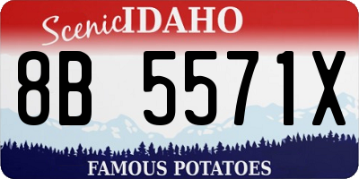 ID license plate 8B5571X