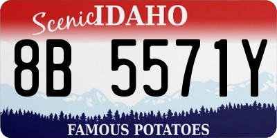 ID license plate 8B5571Y