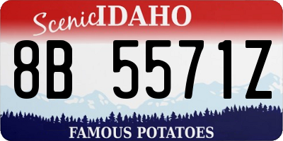 ID license plate 8B5571Z