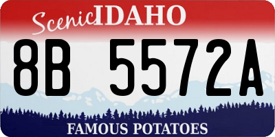 ID license plate 8B5572A