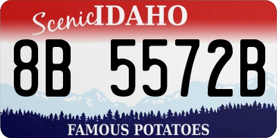 ID license plate 8B5572B