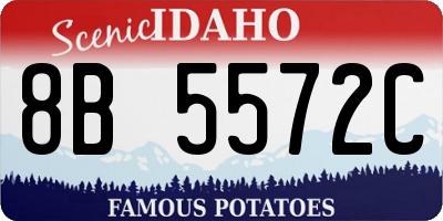 ID license plate 8B5572C