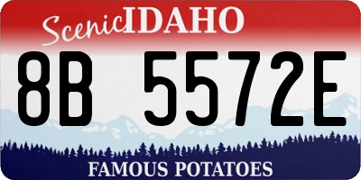 ID license plate 8B5572E
