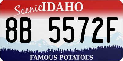 ID license plate 8B5572F
