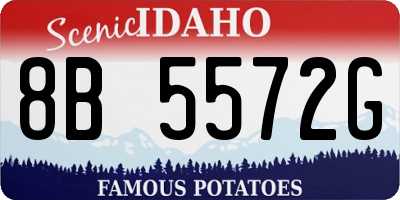 ID license plate 8B5572G