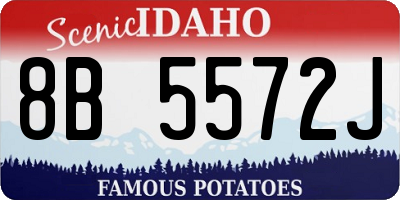 ID license plate 8B5572J