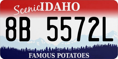 ID license plate 8B5572L