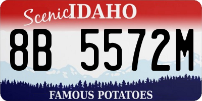 ID license plate 8B5572M