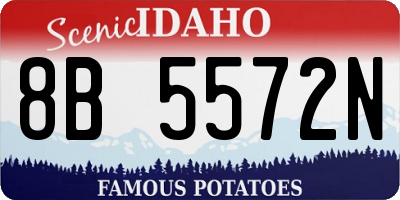 ID license plate 8B5572N