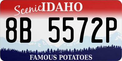 ID license plate 8B5572P