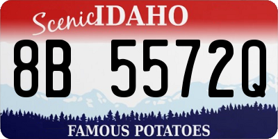 ID license plate 8B5572Q