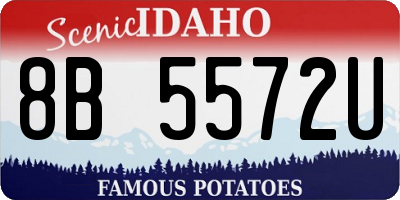 ID license plate 8B5572U
