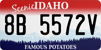 ID license plate 8B5572V