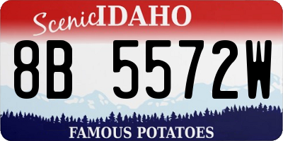 ID license plate 8B5572W