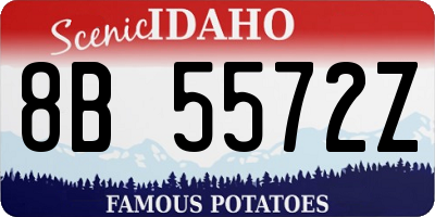 ID license plate 8B5572Z