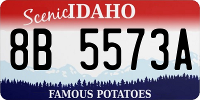 ID license plate 8B5573A