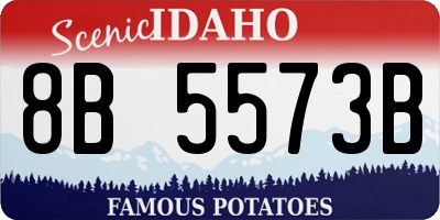 ID license plate 8B5573B