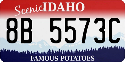 ID license plate 8B5573C