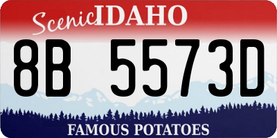 ID license plate 8B5573D