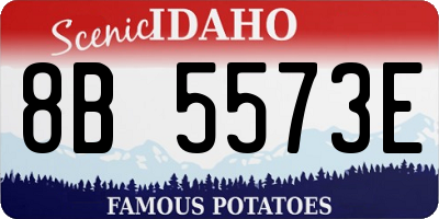 ID license plate 8B5573E