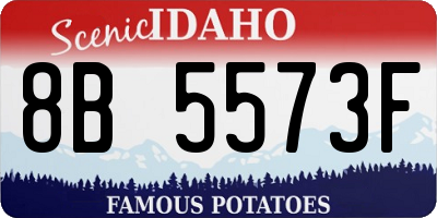 ID license plate 8B5573F