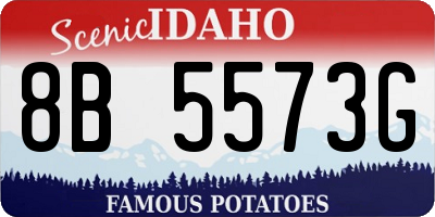 ID license plate 8B5573G