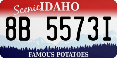 ID license plate 8B5573I