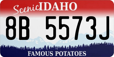 ID license plate 8B5573J