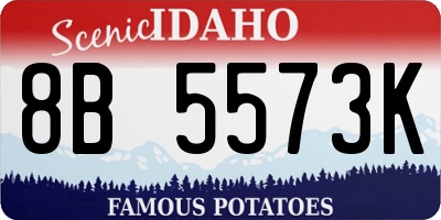 ID license plate 8B5573K