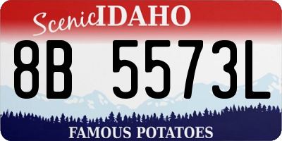 ID license plate 8B5573L