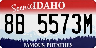 ID license plate 8B5573M