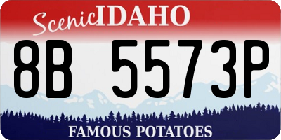 ID license plate 8B5573P
