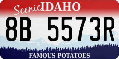 ID license plate 8B5573R
