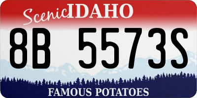 ID license plate 8B5573S