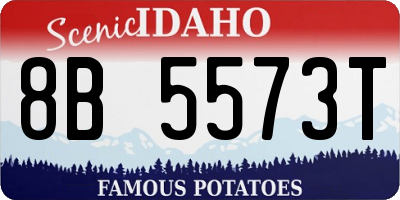 ID license plate 8B5573T