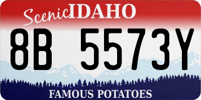ID license plate 8B5573Y