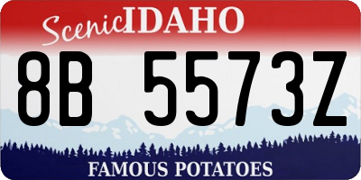 ID license plate 8B5573Z