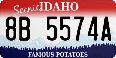 ID license plate 8B5574A
