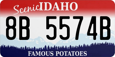 ID license plate 8B5574B