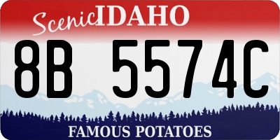 ID license plate 8B5574C